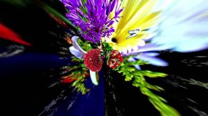 С Днём Рождения! Букеты роз 2 от Киностудии Мудрого Кота Тимофея!