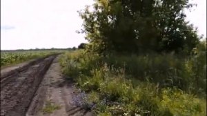 Россия Тамбовская область Мичуринский район село Старое Хмелевое река Польной Воронеж лета 2025/7534