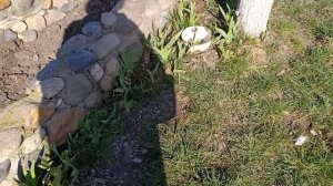 Утро Малыш завтракает