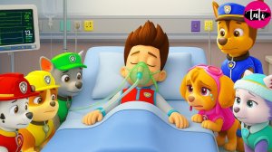 Щенячий патруль и Маршалл. Залипательное видео. Мультфильм для детей и малышей. Анимация 366