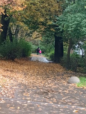 разговариваю со всеми и рассказываю анигдоты