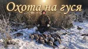Махокрыл Duckmania отработал на 100% | Охота на гуся #34.1
