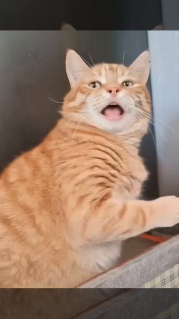 что я хочу сказать. бит лютый ваще