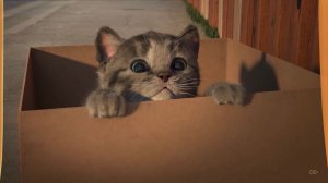 Маленький котенок. Играем весело