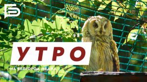 Утро Белгорода