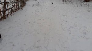 Хорошо на улице.