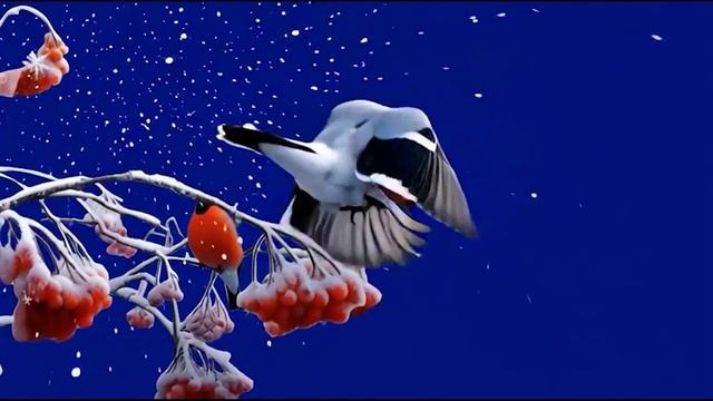 Снегири 5_encoded