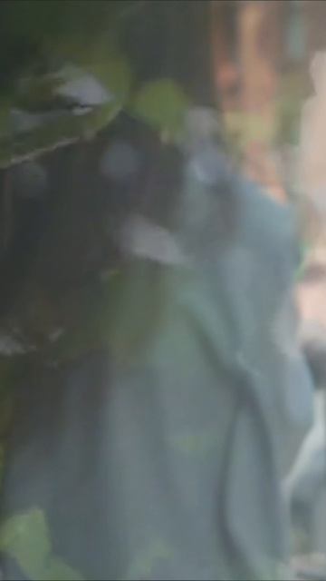 Скоро премьера песни