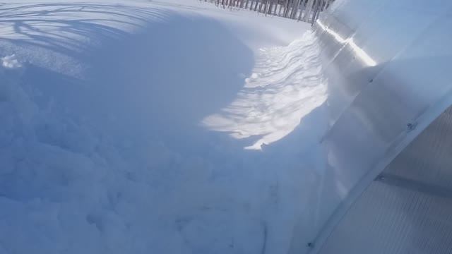 Чистить или нет, теплицы от снега???!!!