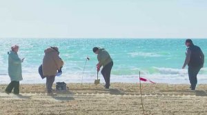 На пляже Витязево в Анапе взяли 27 проб песка