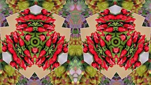 С Днём Рождения!!! Весенний сон 1!!! Музыкальная открытка от Киностудии Мудрого Кота Тимофея!