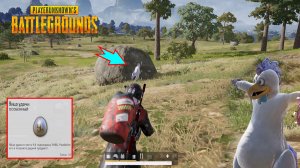 PUBG 9th Anniversary ✅ Где найти Крутого ЦЫПУ и разбить Яйцо Удачи / Лови курицу / Разбей яичко ✅