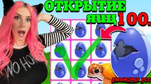 ОТКРЫВАЮ 100 ЯИЦ ENDANGERED EGG в Adopt Me! Новые ЯЙЦА Sea Turtle из ОБНОВЛЕНИЯ АДОПТ МИ РОБЛОКС!