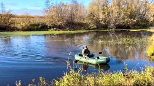 Охота на утку. Рыбалка на сети.