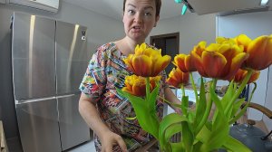 Одни расстройства! Расслабилась и ВЕС снова пошёл ВВЕРХ! Зря себя ЖАЛЕЮ, но с работой мне ПОВЕЗЛО!