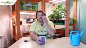 Сеем лобелию.