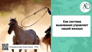 Как система выживания управляет нашей жизнью