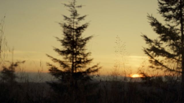 «Существо»