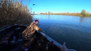 НА РЫБАЛКУ С ЖЕНОЙ БОЛЬШЕ НЕ ЕДУ! ВСЮ РЫБУ ВЫЛОВИЛА, А Я НЕ ОДНОЙ! Рыбалка на сазана.