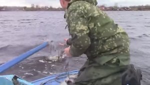 Чудо-Рыба Камбала! Как Её Споймать?