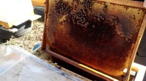 Нужен совет.