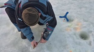 VID_20260312_091742_451