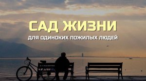 Особое пространство заботы: в Екатеринбурге откроют «Сад жизни» для одиноких пожилых людей