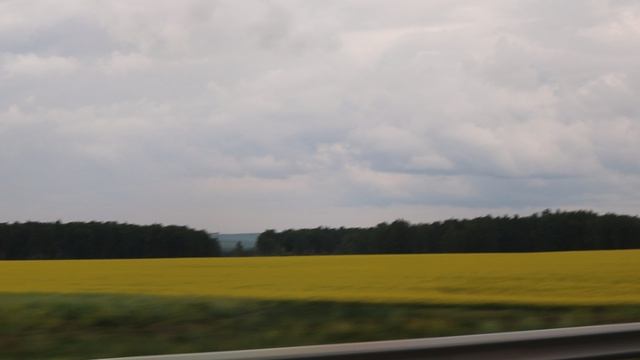 MVI_6575 смотреть онлайн