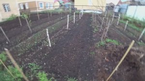 Влог от 11.05.2022