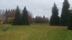 осенний Петергоф 2025 год.