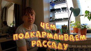 ЧЕМ ПОДКАРМЛИВАЕМ РАССАДУ