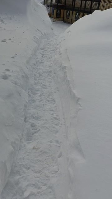 №1666 Двор Сибирская 73. 12 марта 2026 г., 12:31:52 VID_20260312_123055599