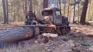 Видео от HackAvto – Лайфхаки и фишки для авто