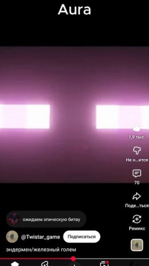 ?!golem vs endermen!?