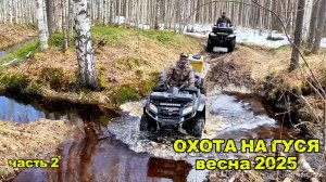 ОХОТА НА ГУСЯ-ВЕСНА 2025 (часть 2) #охотанагуся #охотанаболоте #снаряжениедляохоты