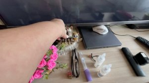 ЖИЗНЬ БЕЗ ПРИКРАС/8 МАРТА ОТМЕНЯЕТСЯ/ПОКУПКИ С ОЗОН