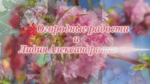 2282.Рассадный 2026. Пикирую перцы.