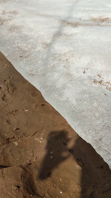 11 марта, весенняя прогулка