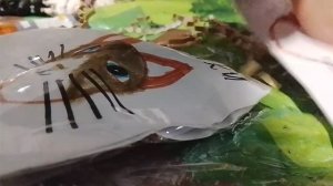 Распаковываю собственные и самодельные  пакетики с котиками  2-я часть какой котик вам понравился?😺