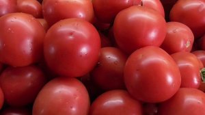 ПОСЕВЫ 2026-63. Посеяла томат Малиновая Ляна. №27. За что я люблю этот сорт.