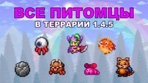 Все 84 Вида Питомцев в Террарии 1.4.5