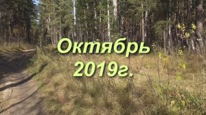 Страницы из 2019г 23ч