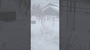 Падал прошлогодний снег