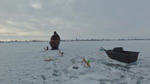 НАЛОВИЛ КУЧУ КРУПНОЙ РЫБЫ! ЭТО НАСТОЯЩИЙ ЗИМНИЙ ЖОР!