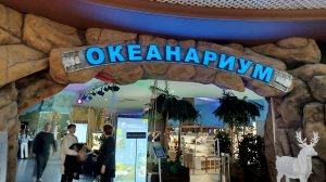 Поход в воронежский океанариум. Анонс.