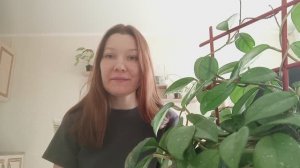 Какие все блогеры стали нежные — слова не скажи 🤭