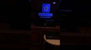 YouTube Обзор на диски Смешарики Часть 2