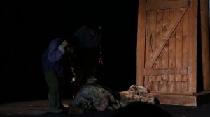 Мэхээлэчээн булчут спектакль.