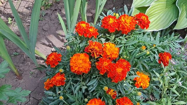 Красота да и только. На работе