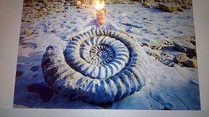 монстры девонского периода